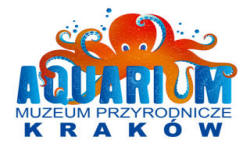 POLTURIZM
