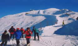 POLTURIZM