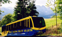 POLTURIZM