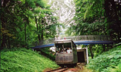 POLTURIZM